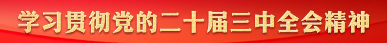 學(xué)習(xí)貫徹黨的二十屆三中全會精神